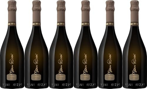 Nani Rizzi Prosecco Valdobbiadene Superiore DOCG 2023 Brut (herb) (6 x 0.75 l)