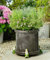 Potty Feet Sleeping Gnome Figures Plant Pot Feet - Planter Support - Handmade Decorative Ornaments - 3pcs