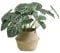 VerdantCharm Plante Artificielle en anthurium en Cristal – 46 cm de Haut | Plantes artificielles d'intérieur | Décoration d'intérieur Moderne pour Salon et Chambre à Coucher