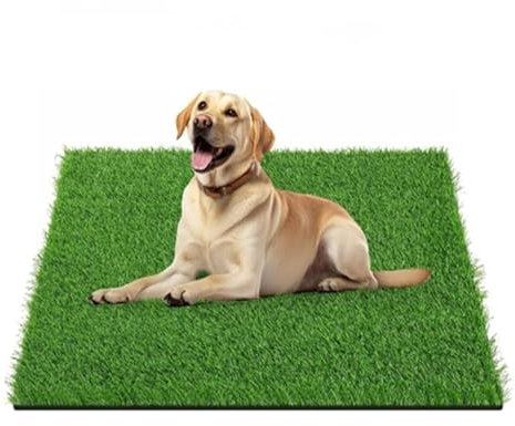 Hundetoilette, Künstliche Grasmatten, Waschbar Hunde Training Rasenmatte, Training Pee Pads für Kleine Grosser ältere Hunde (50 * 70 cm)