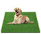 Hundetoilette, Künstliche Grasmatten, Waschbar Hunde Training Rasenmatte, Training Pee Pads für Kleine Grosser ältere Hunde (50 * 70 cm)