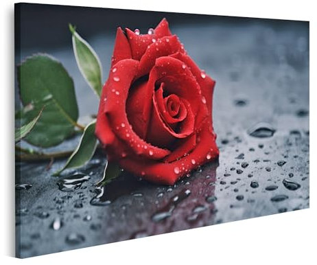islandburner Tableau sur Toile Rose Rouge Couvert Gouttelettes d'eau Ai Rose Rouge Couvert Gouttelettes d'eau Photos Mur Affiche