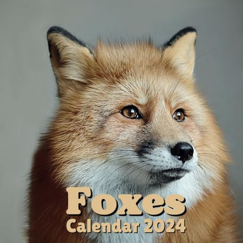 Foxes Calendar 2024: 16 Months Organizer For Home & Office Organizer , Mens , Womens , kids