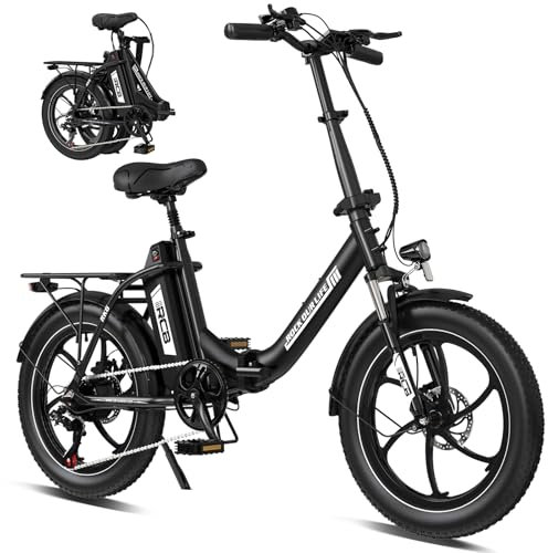 RCB Vélo électrique à Gros pneus de 20 Pouces avec Batterie Amovible de 36 V 15,6 Ah, 250 W, 25 km/h, autonomie de 80 km, vélo électrique Pliable pour Les navetteurs urbains