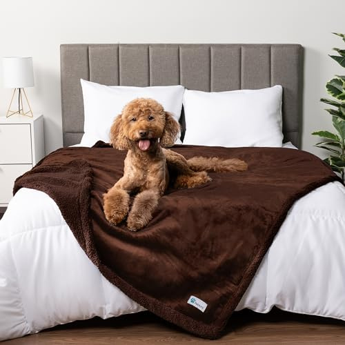 PetAmi wasserdichte Hundedecke für Queensize-Bett, groß, XL, Hundedecke für Couch, auslaufsicher, Möbelschutz, Sherpa-Fleece, wendbar, weich, waschbar, 229 x 229 cm, Braun