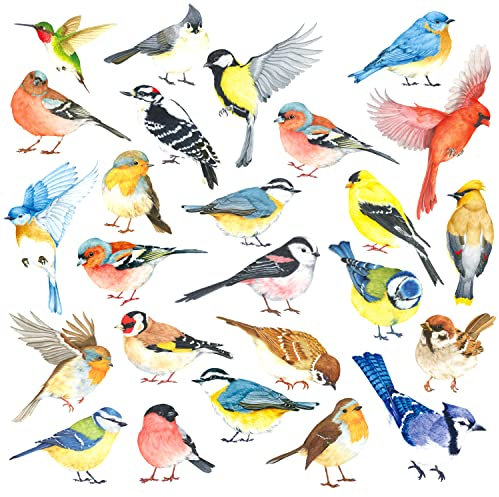 DECOWALL DS4-8063 25 Vögel Wandtattoo set Wandaufkleber Kolibriwandaufkleber für Schlafzimmer Wohnzimmer Kinderzimmer Flur Küche Fenster Deko Wanddeko