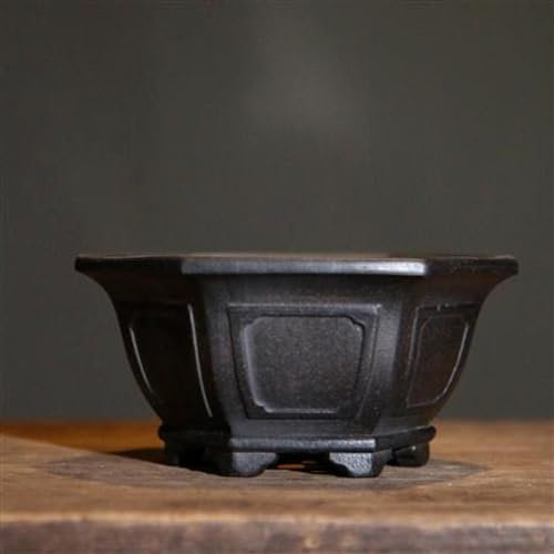 YTDJJWLS Vaso di argilla viola in miniatura, vaso per fiori e bonsai, per piante grasse