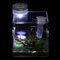 Springspinne-Gehege – Vogelspinnen-Gehege Mit Lampe, Acryl-Reptilien-Terrarien, Spinnen-Terrarien-Zuchtbox,L
