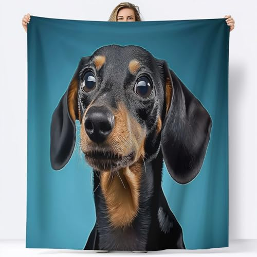 Generisch Kuscheldecken 180 x 200 cm Weich Bequem Decke Tierfotografie Dackel 3D-Digitaldruck Kuscheldecke Blau Flanelldecke Weich Wohndecke Sofadecke Decke für Jungen Erwachsene