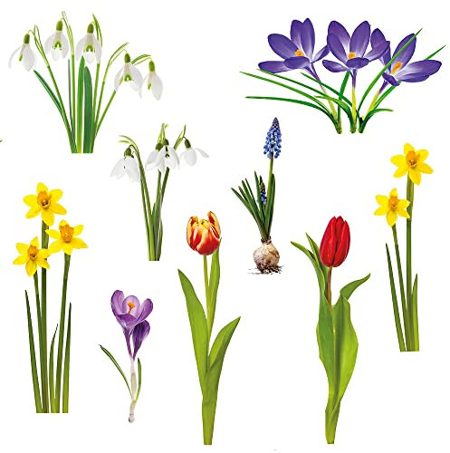 Pixblick Fenstersticker - Schneeglöckchen, Krokusse, Tulpen und weitere Blumen für den Winter und Frühling I Made in Germany I Wiederverwendbar