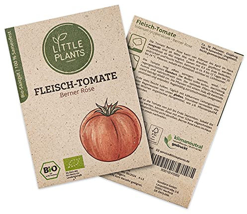 Little Plants BIO Tomatensamen Berner Rose, 15 Tomaten Samen, hohe Keimrate, 100% Natürlich, BIO Saatgut Fleischtomate Samen für Gemüsegarten Tomaten Hochbeet – BIO Tomate Samen Nachhaltig
