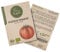Little Plants BIO Tomatensamen Berner Rose, 15 Tomaten Samen, hohe Keimrate, 100% Natürlich, BIO Saatgut Fleischtomate Samen für Gemüsegarten Tomaten Hochbeet – BIO Tomate Samen Nachhaltig