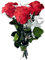 Handgebundener Rosenstrauß mit 3 Rosen und Ruscus - Echte ewige Rosen 3 Jahre haltbar – Rosen mit Stielen Höhe 26 cm - Made in Germany (Rot)