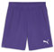 PUMA teamGOAL Shorts - Pantaloncini in Maglia Adulti Unisex, Team Violet-PUMA White, 705752