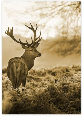 Generisch Wandsticker Dekor Fotoaufkleber 59,40 x 84,10 cm Hirsch im Wald Nr. H1962M_NS1A1