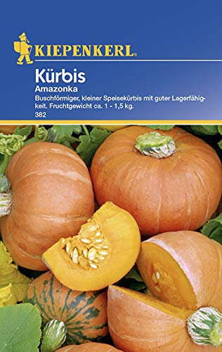 Kiepenkerl 382 Kürbis Amazonka (Kürbissamen)