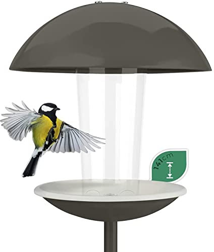 WILDLIFE FRIEND Bird Feeder Hanging Station, Squirrel Proof Bird Feeder, 141 cm Stick, Ideal for Small Birds, Heavy Duty Metal, Robust & Easy Clean, Dark Grey