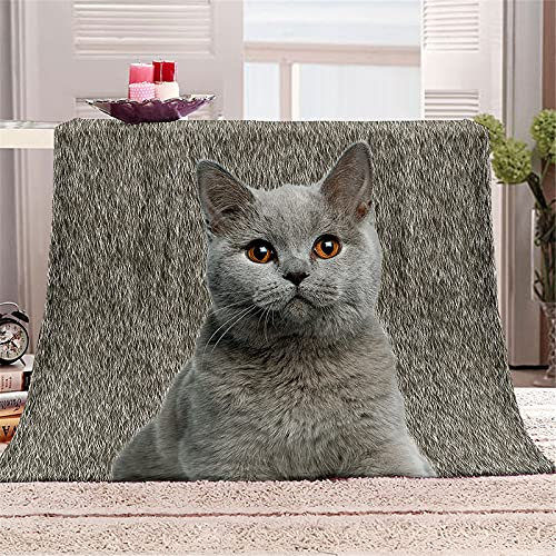Chickw11 Coperta di Flanella, Stampa Gatto Morbida Leggera Pile Coperte Comfort Calda Coperta Tutte Le Stagioni Multifunzionale per Divano o Letto Singolo e Matrimoniale (Gatto,80x120cm)