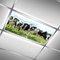 MEHOM Holstein Cows LED-Deckenleuchte für Klassenzimmer, Büro, Holstein Cows LED-Deckenleuchte Abdeckung, Dachfensterfolie, Filter, Tropfendecke, fluoreszierend, dekorativ, 60 x 100 cm