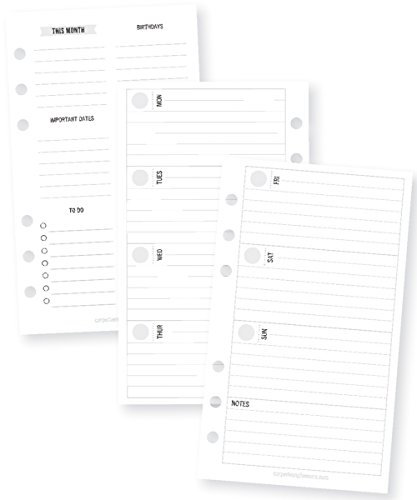 Simple Stories 7985 Planer Essentials doppelseitige persönliche Einlagen, mehrfarbig