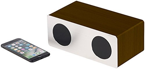 auvisio Altavoces portátiles Bluetooth - Caja del Altavoz: Altavoces estéreo, Bluetooth, Caja de Madera, Frente de Aluminio, 20 W, 400 mAh (BT Altavoz, Inalámbrico Altavoz)