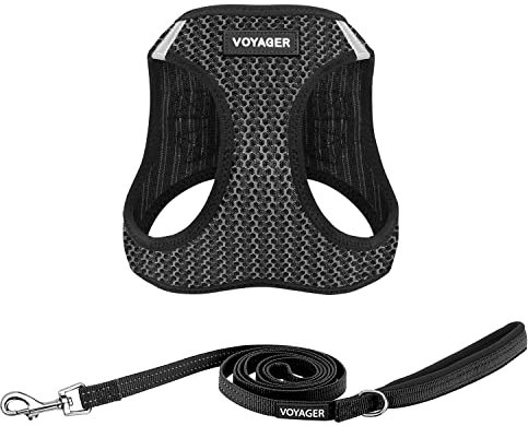 Best Pet Supplies Voyager Step-in Air Allwetter-Mesh-Geschirr und reflektierende Hundeleine, Kombination mit Neopren-Griff, für kleine, mittelgroße und große Hunderassen, Grau (zweifarbig), XL
