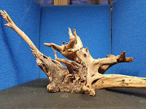 Sahawa Mangroven Corbo Wurzel 20x30x40 cm für Aquarien Terrarien und Deko