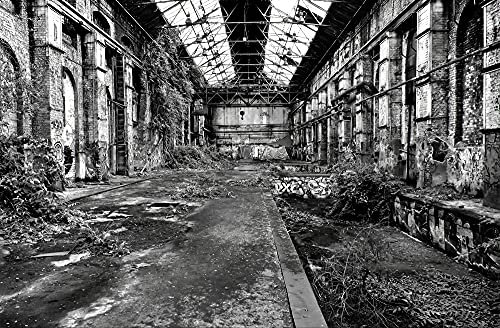 hansepuzzle 65168 - Lost Places Puzzle 500 Teile | Industrie Puzzle mit hochwertiger Puzzle Aufbewahrung: Kartonbox und wiederverschließbarem Beutel | Puzzle-Maße: 46 x 30 cm