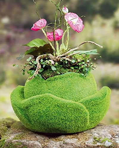Dekoleidenschaft Pflanzer Moos-Rose aus Fiberglas, 30x17 cm, Pflanzgefäß, Blumentopf, Pflanztopf, Pflanzgefäß, Garten-Deko für Draußen