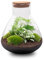 urbanjngl Terrarium végétal - Sam XL - Ecosystème végétal -↑35 cm - Jardin en Bouteille - Bricolage - Kit de Bricolage - Ensemble Complet de Terrarium - Mini écosystème avec Plantes en Bouteille