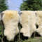 Hollert Lammfell Vanille Merino Schaffell Naturfell Echtfell Läufer Dekoration kuschelig weich Teppich Größe 90-100