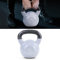 RAMROXX 20 kg Gusseisen Vinyl Kettlebell Kugelhantel Premium Schwunghantel Schwarz Grau