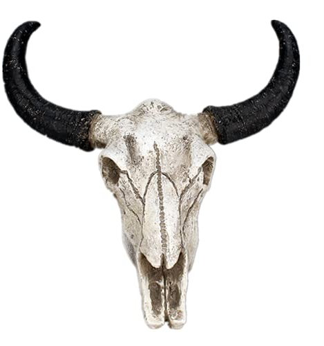 LXLUOO Kuh Schädel Wandbehang, Schädel Wandbehang, Harz Longhorn Kuh Schädel, Kuh Schädel Wand Dekor Kinderzimmer Dekor Harz Ornament mit Aufhängeloch