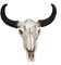LXLUOO Kuh Schädel Wandbehang, Schädel Wandbehang, Harz Longhorn Kuh Schädel, Kuh Schädel Wand Dekor Kinderzimmer Dekor Harz Ornament mit Aufhängeloch
