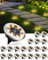FLOWood Solar Bodenleuchten Aussen 20 Stück, Solarleuchten für Garten Außen mit 8 LEDs, 3000K Warmweiß Wasserdicht Led Solar Gartenleuchten, Solarlampen für Außen Garten Rasen Auffahrt Gehweg Patio
