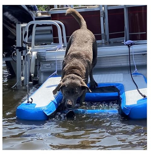 Échelle de bateau pour chien, rampe d'eau en PVC haute visibilité pour piscine, plate-forme gonflable pour animaux de compagnie pour côtes, lacs, rivière