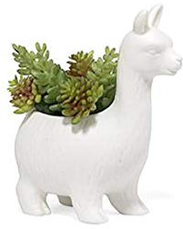 Kikkerland Lloyd The Llama Übertopf