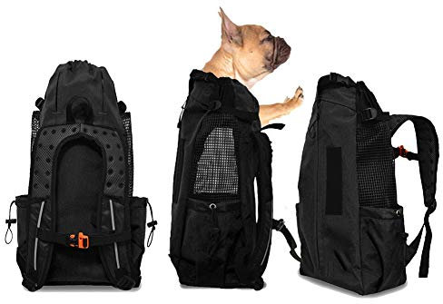 WLDOCA Hunderucksack für Kleine und mittlere Hunde bis 10kg - Atmungsaktiver Faltbarer hundetransporttaschen - Geeignet für Motorradfahren, Wandern, Einkaufen, Reisen - Sicherheit Komfort,Black,M