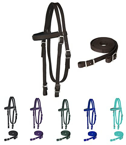 Majestic Ally Halfter für Pferde, Nylon, gepolstert, mit Zügel, Schokoladenbraun