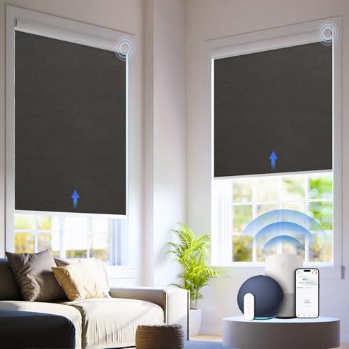 Hapadif Motorized Automatic Blinds-23 Inch Width Cordless Roller Shades with Remote for Bedroom Living Room Home Office, Black