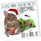Weihnachtskarten für Familienmitglieder Katze Weihnachtskarten - Mama Lustige Weihnachtskarte für Sie oder Ihn - Katze Mama, Karte Weihnachten Grußkarten für Frauen - Perfekt für Töchter, Tanten,