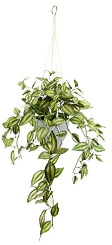 Flair Flower Tradescantiahängeampel mit Topf und Hängeampel Kunstpflanze Tradeskantie hängend Rankend Girlande Pflanzenampel Grünpflanze Zimmerpflanze Kletterpflanze Efeuranke Efeu, ca. 83x45x30 cm