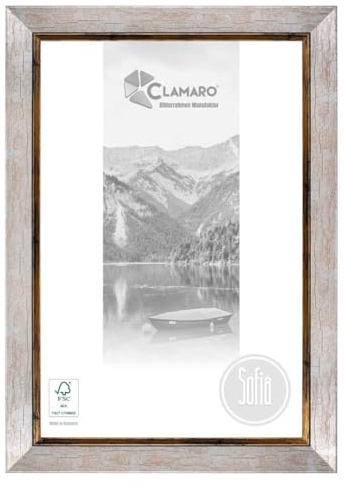CLAMARO Sofia Bilderrahmen Barock Massivholz, 50 mm, Silber Gold, 60x120 cm | Fichtenholz Leiste 28 mm tief, Acrylglasscheibe, HDF-Rückwand, Metall-Aufhänger, Hoch- und Querformat, ohne Passepartout