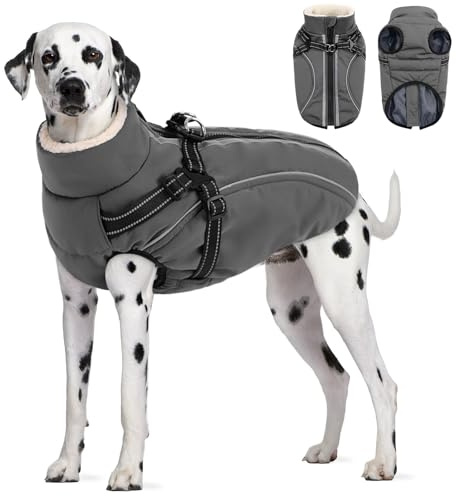 CITÉTOILE Wasserdichter Winter Hundemantel mit Geschirr Fleece Grau XL | Warme Hundejacke mit Reißverschluss, Wintermantel mit Reflektorstreifen für kleine Mittel Große Hunde, mit Bauchschutz