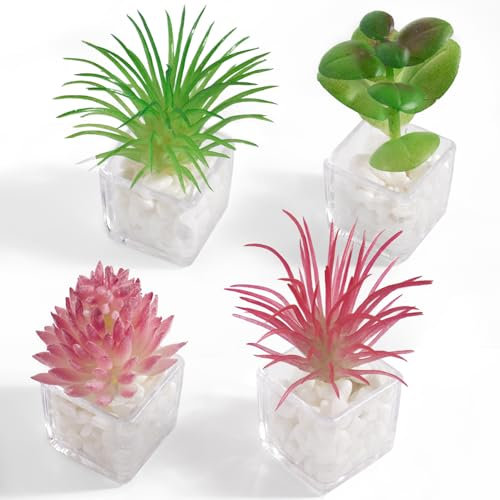 rhinocats 3D Plant Fridge Magnet, 4Pcs Cute Succulent Magnets for Refrigerator Whiteboard Mini Decorative Magnets for Locker Kitchen Office