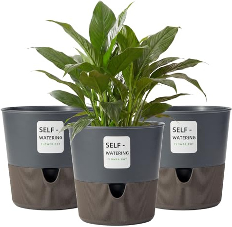 Bamworld Blumentopf Selbstbewässernder Set, Kräuter, Basilikum moderner Hydrokultur-Topf für Küche auf der Fensterbank, Schwarz，Ø16.5cm 3er-Pack