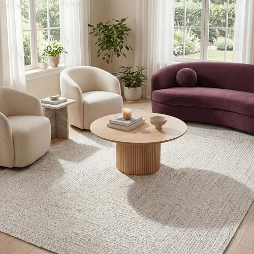 nuLOOM Alfombra Trenzada para Interiores y Exteriores, 2 x 3 pies, Color Marfil Wynn