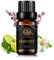 100% reines Serenity Ätherisches Öl für Luftbefeuchter, 10ml Aromatherapie Serenity Ätherisches Öl, Therapeutic Grade Serenity Ätherisches Öl - Lavendel, Bergamotte, Sandelholz Duftmischungen