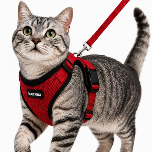BLOCKBAT® Arnes para Gatos, con Correa de 150cm, Antiescape, Cómodo y Reflectante, Fabricado en Malla Transpirable Suave, Arnes Gato, Cosas para Gatos, arnes Gato Pequeño. (XS, Rojo)