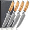 XINZUO Damascus Steak Knife Set of 4 with Olive Wood Handle, Not Serrated Steak Knives,73 Layers Damascus Japanese Knives, Ultra Sharp Damascus Table Knife Set